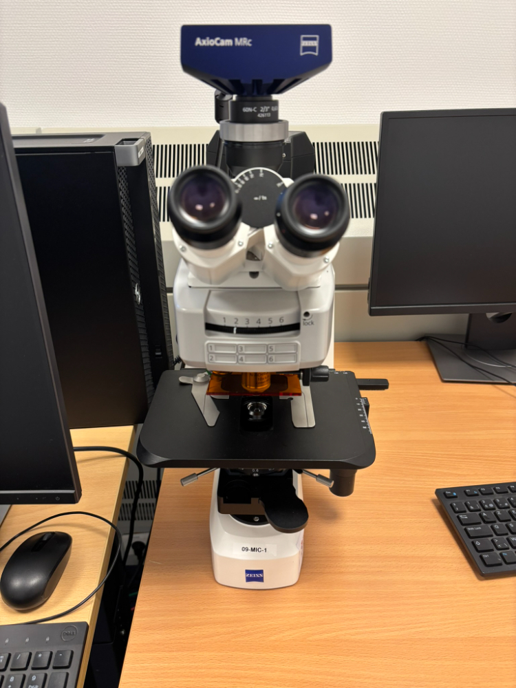 Image of Carl Zeiss Axio Scope A1 AX10 Microscope